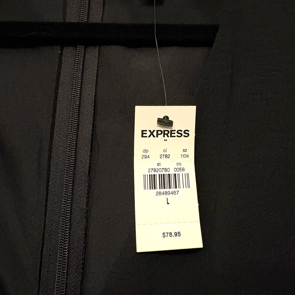 Express Dress - Picture 3 of 4